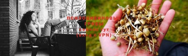 прущий лед Алексеевка