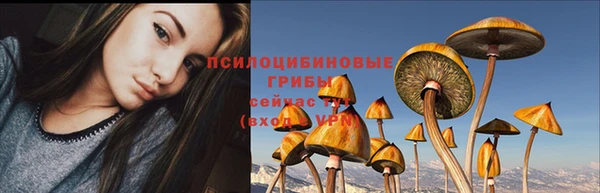 jwh Алзамай