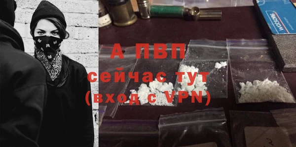 стафф Алексин