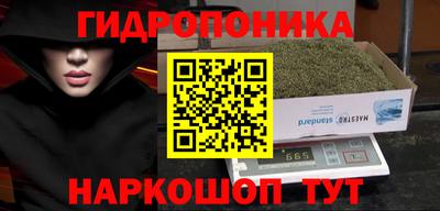 скорость Камень-на-Оби