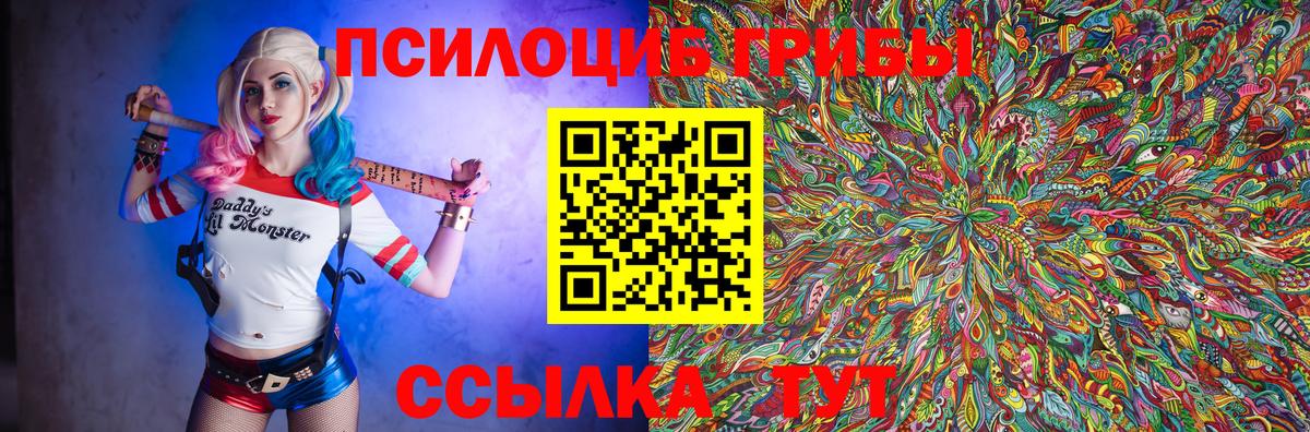 Морозовск  Псилоцибиновые грибы Magic Shrooms  Вход с VPN  Галлюциногенные грибы Psilocybine cubensis 